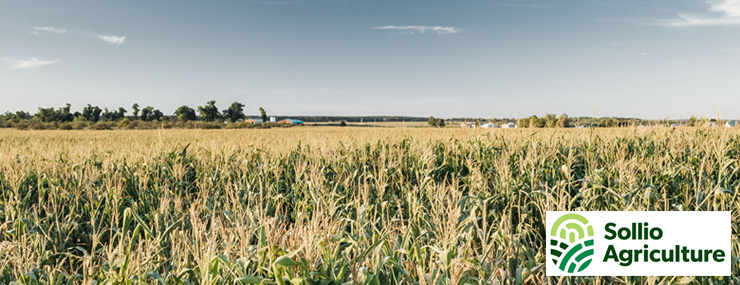 À propos de Sollio Agriculture À propos de Sollio Agriculture